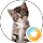 Tartinette Mtr profile picture