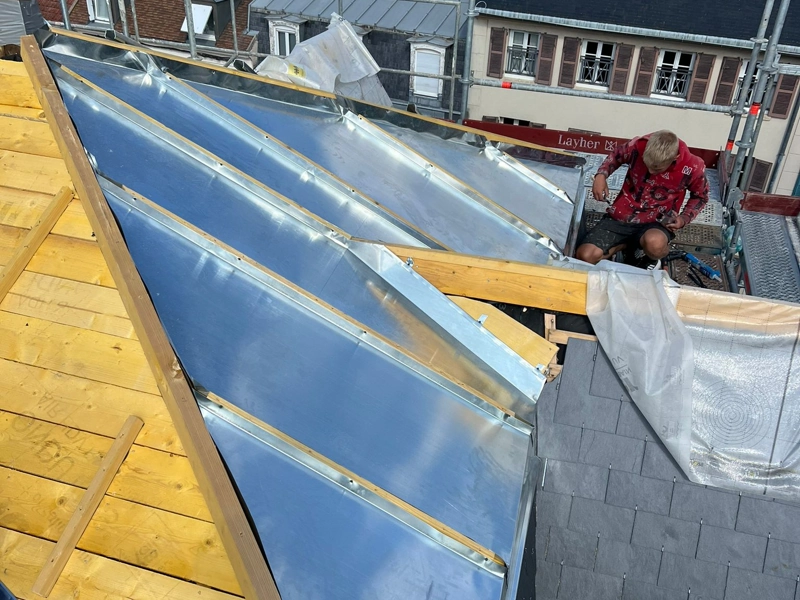 Toiture zinc définition