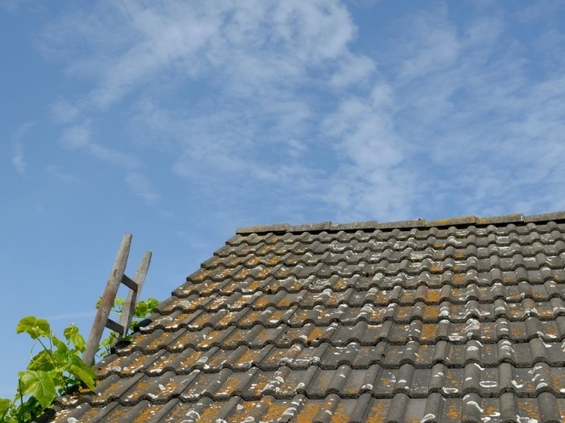 Rénovation de toiture en tuiles à Paris et en Île-de-France Durée de vie d'un toit en tuiles