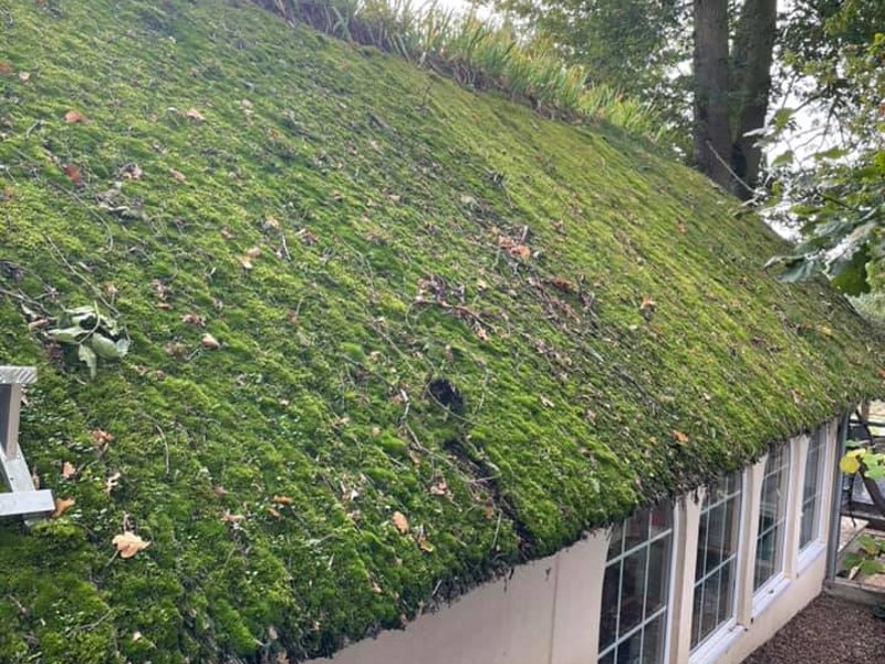 Entretien maison toit de chaume