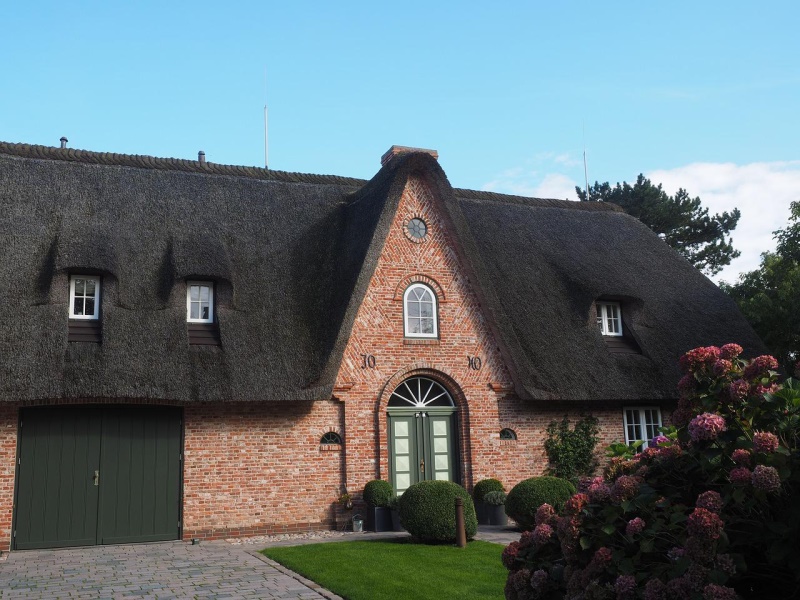 Maison au toit de chaume de luxe