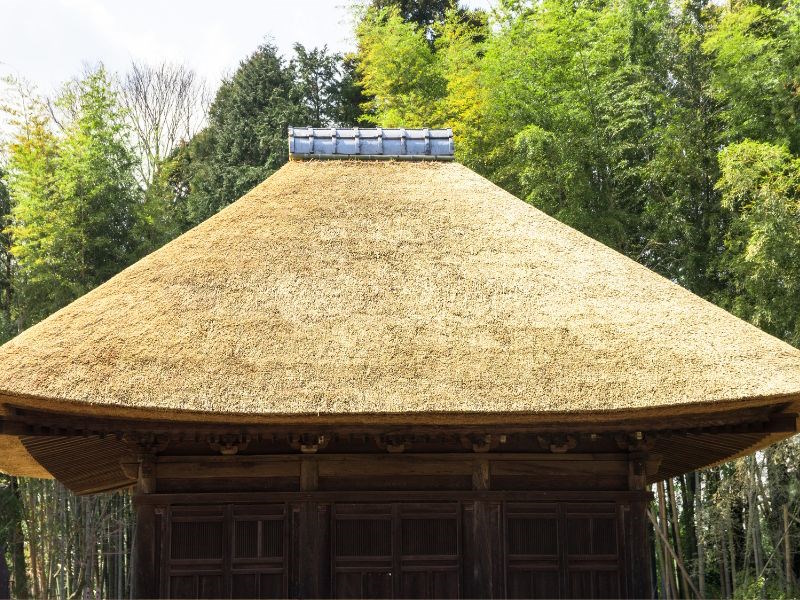 Toit de chaume pergola