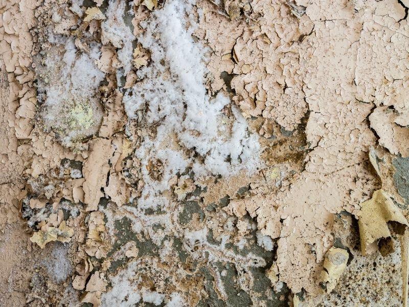 Salpêtre sur un mur en pierre