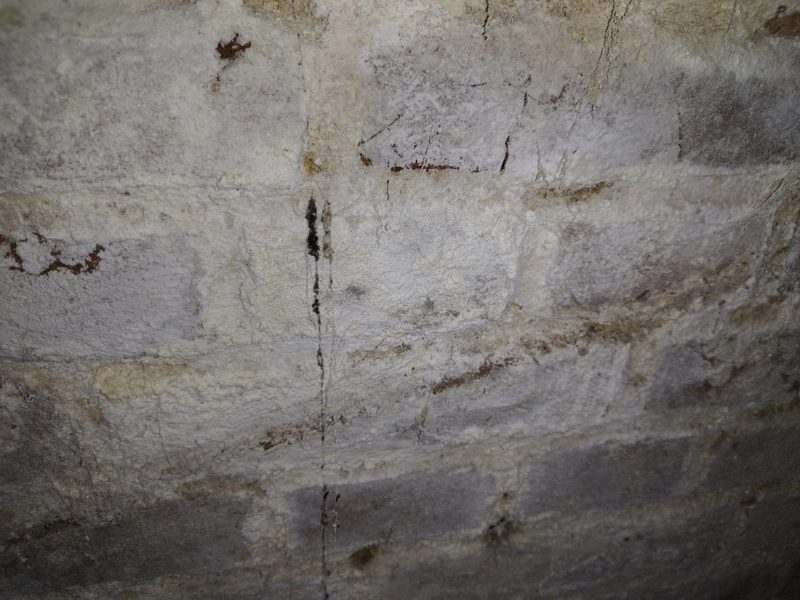 Salpêtre mur