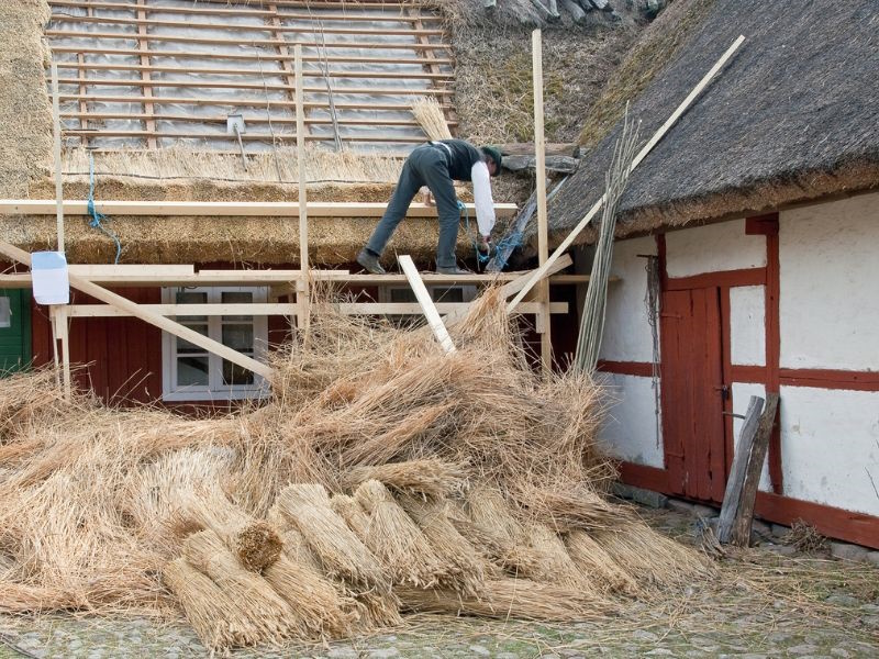 Toit de chaume en Belgique