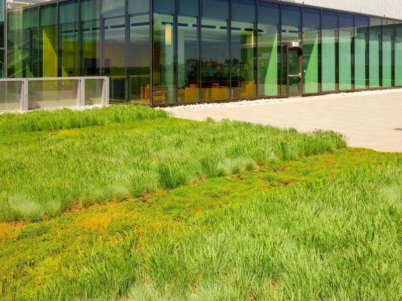 Toit végétal : tout savoir