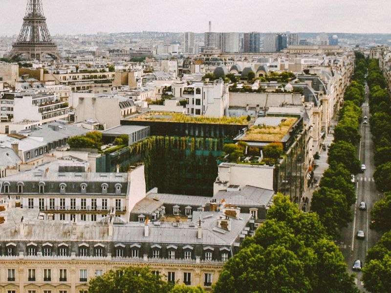 Toits végétalisés à Paris Toits vegetalisees paris