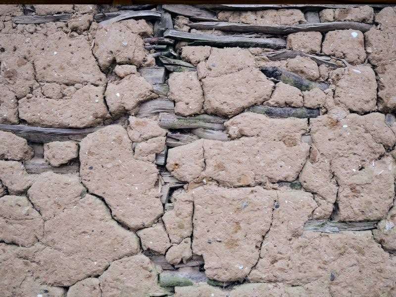 Mur en torchis : guide complet Défaut d'un mur en torchis