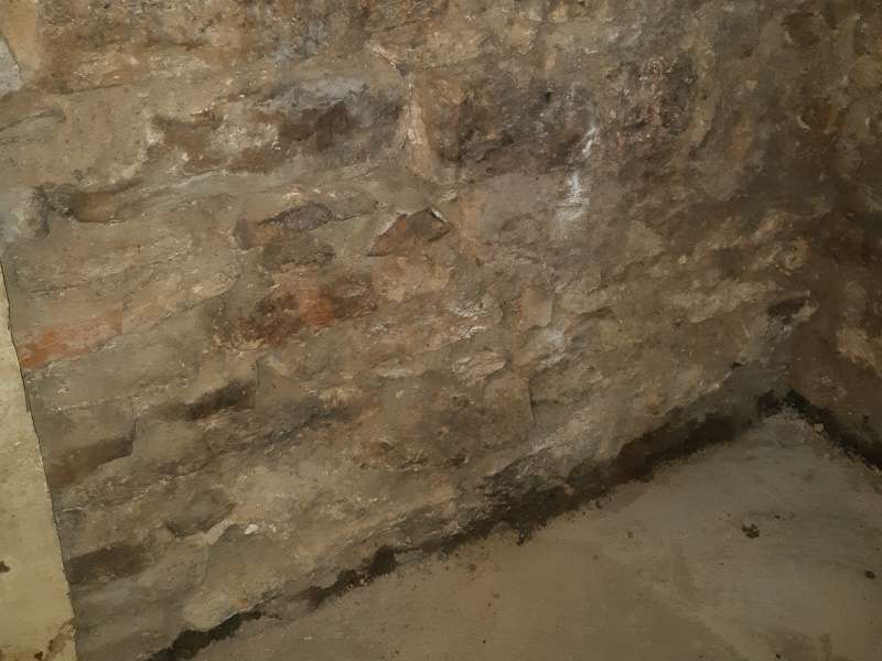 Les dangers d'une cave humide