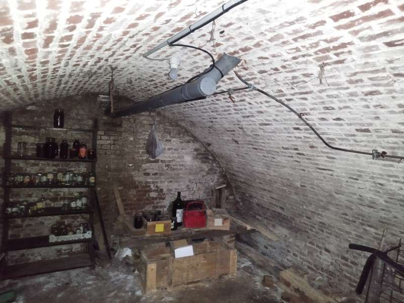 Rénovation d'une cave voûtée.