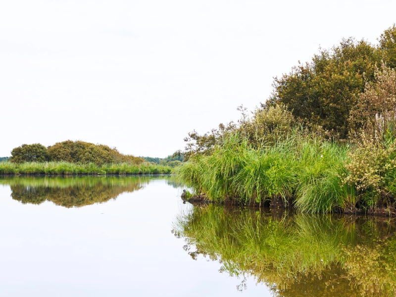 Par naturel régional de Brière