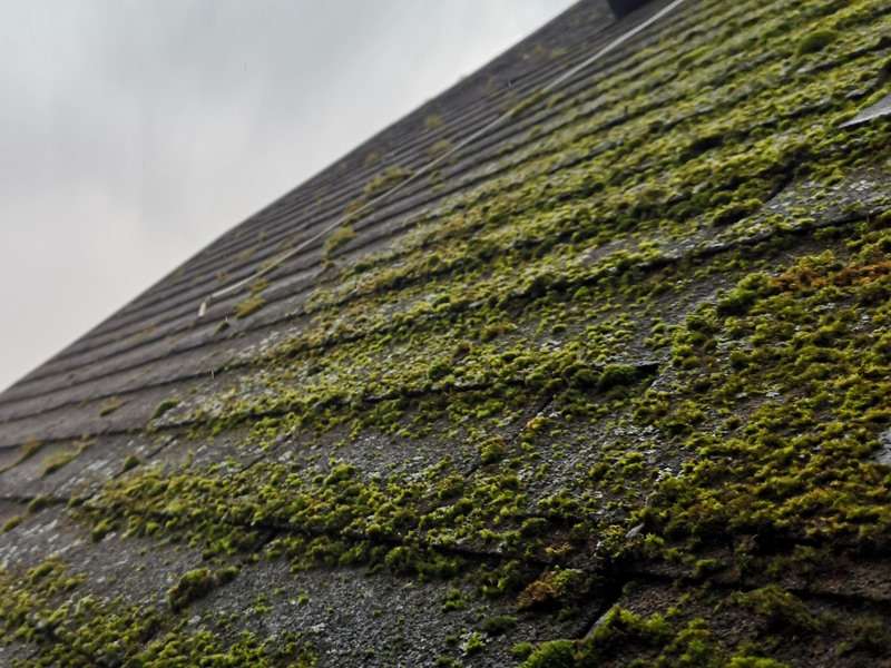 Quand réaliser la rénovation d'une toiture