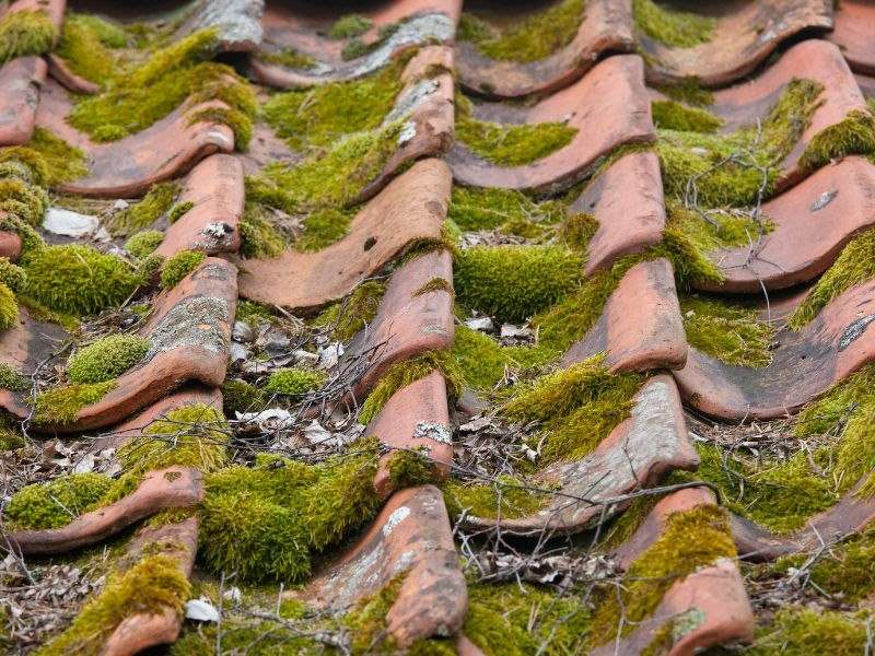 Quand refaire sa toiture ?