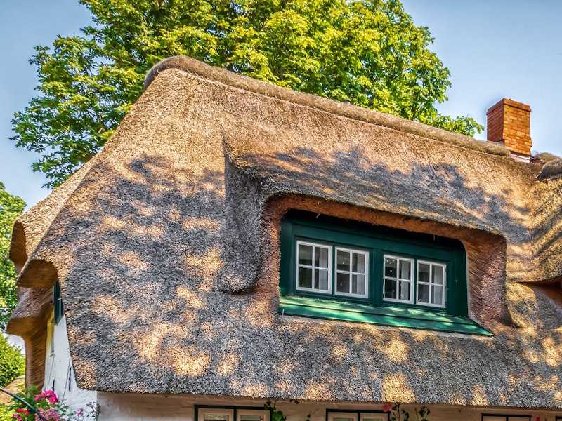Couvreur Chaumier Saint Lyphard 44
