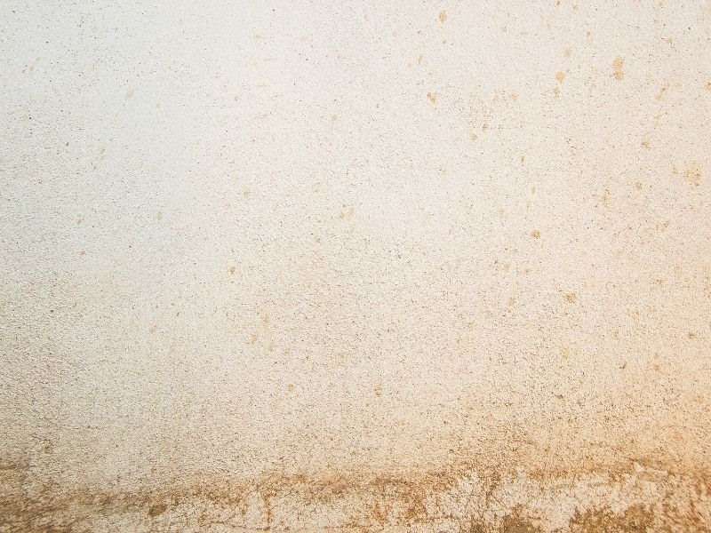 Salissure de façade
