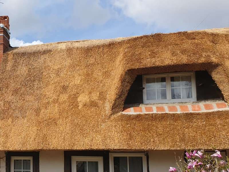 Construction couverture chaume