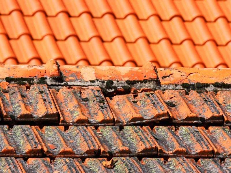 Réfection de toiture à Paris et en Île-de-France Entretien de toiture