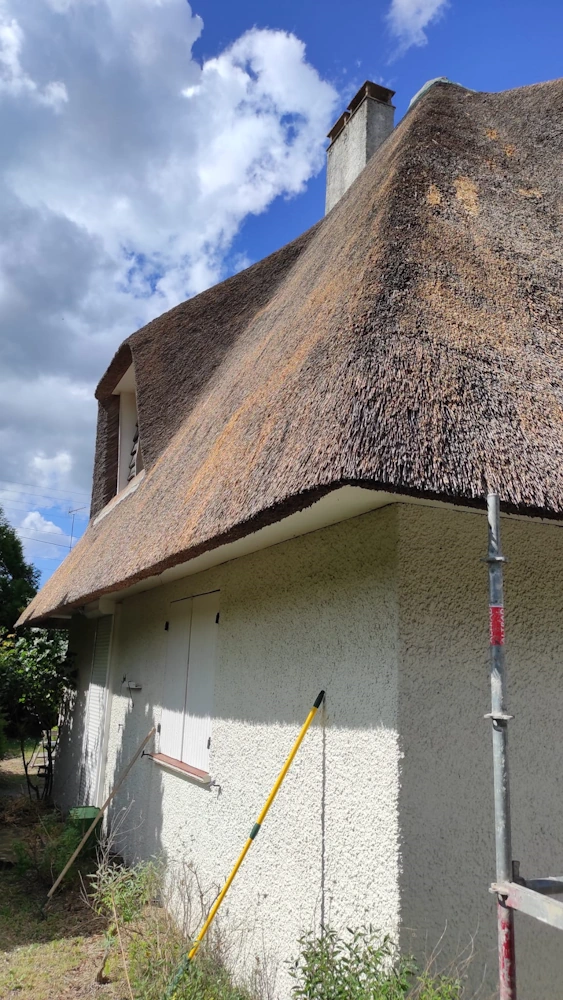 Artisan chaumier conflans sainte honorine