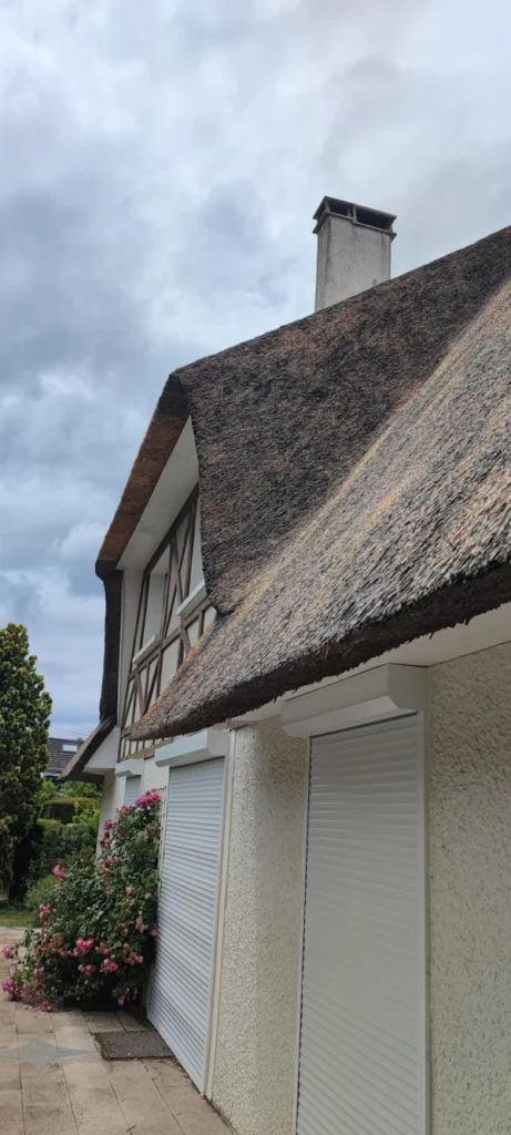 Couvreur chaumier conflans sainte honorine 78