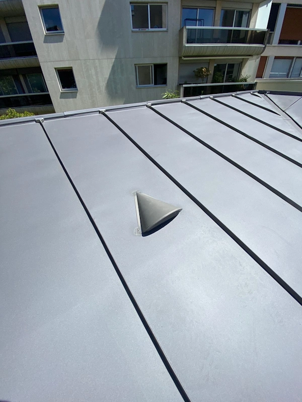 Detail pose toiture zinc paris 14e
