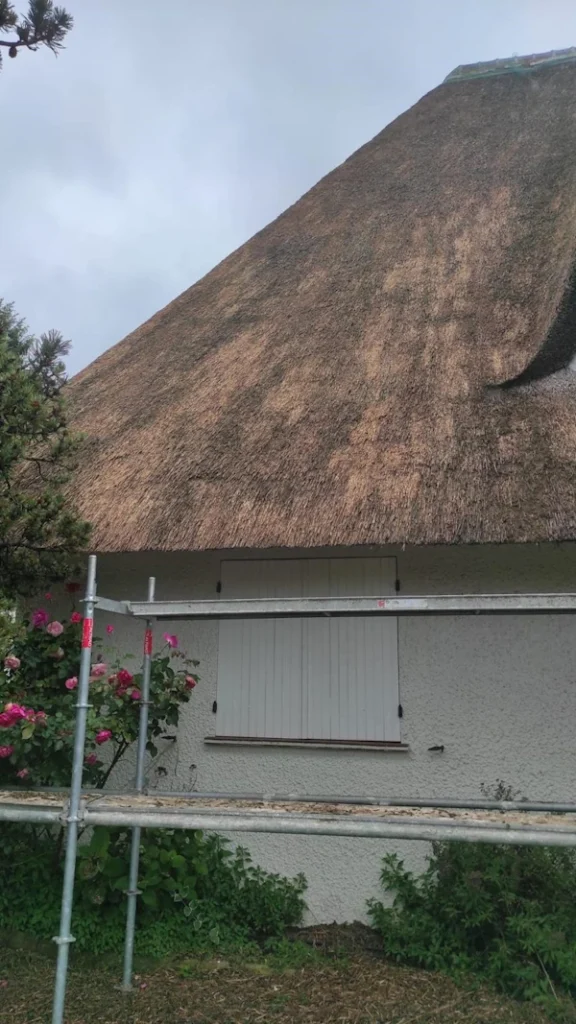 Entretien couverture chaume conflans sainte honorine