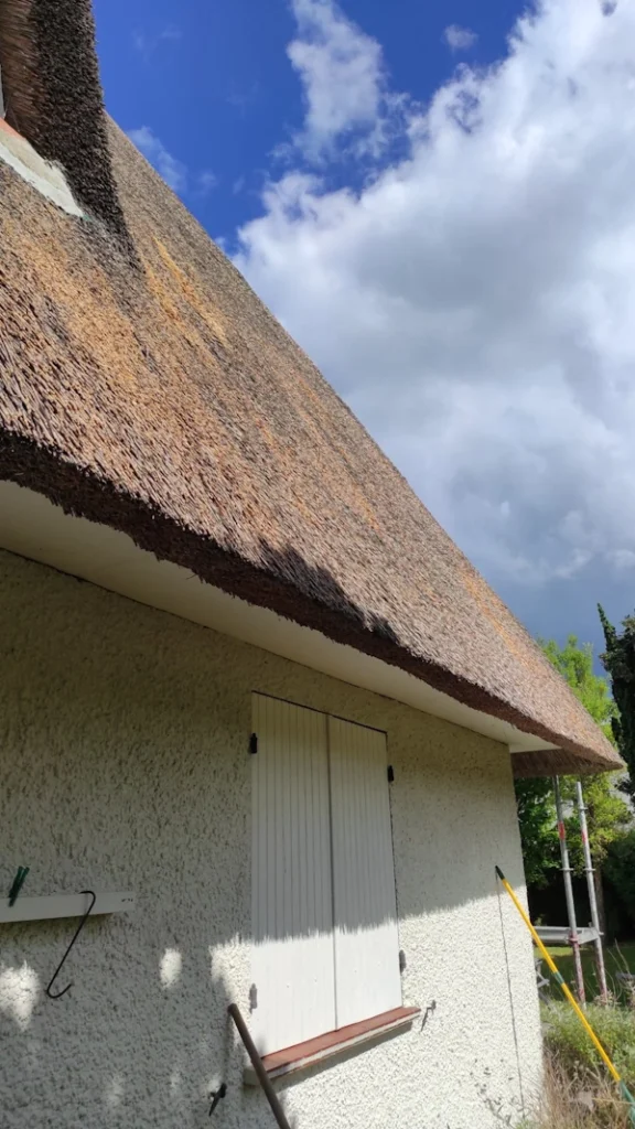 Entretien toiture chaume conflans sainte honorine