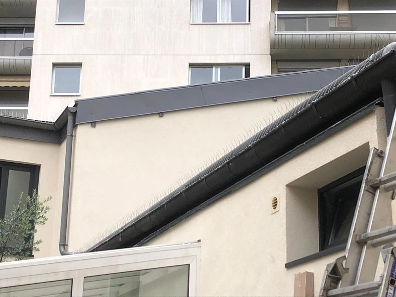 Surelevation de maison a paris 14e