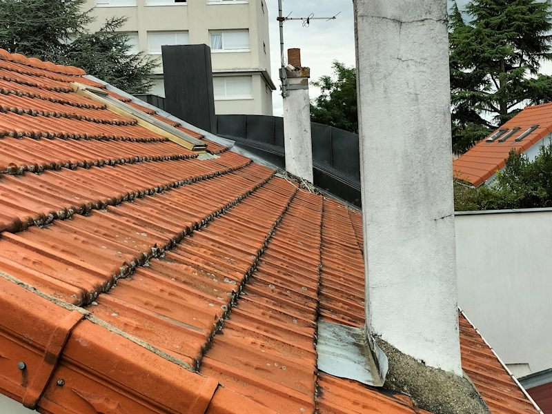 Inconvénient tuiles toiture