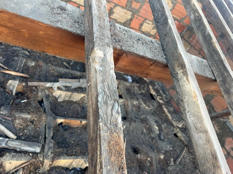 Renovation de charpente paris 19