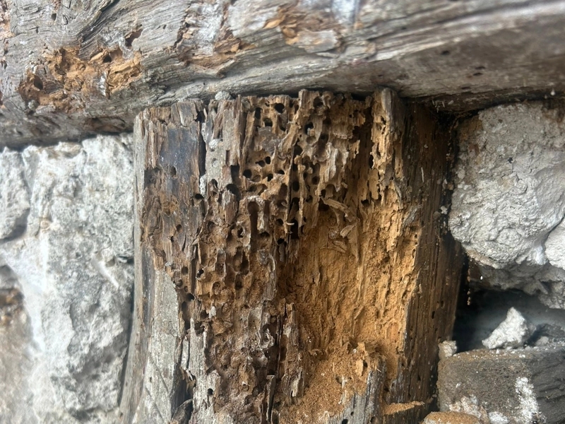 Désordres du pan de bois