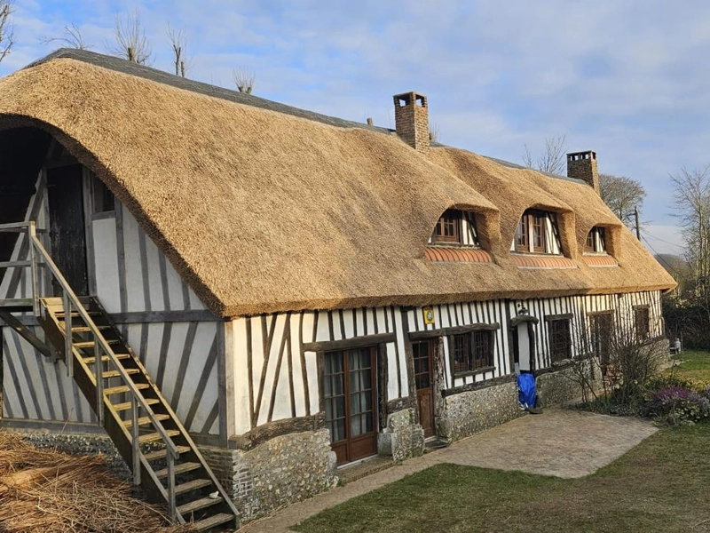 Rénovation des pans de bois