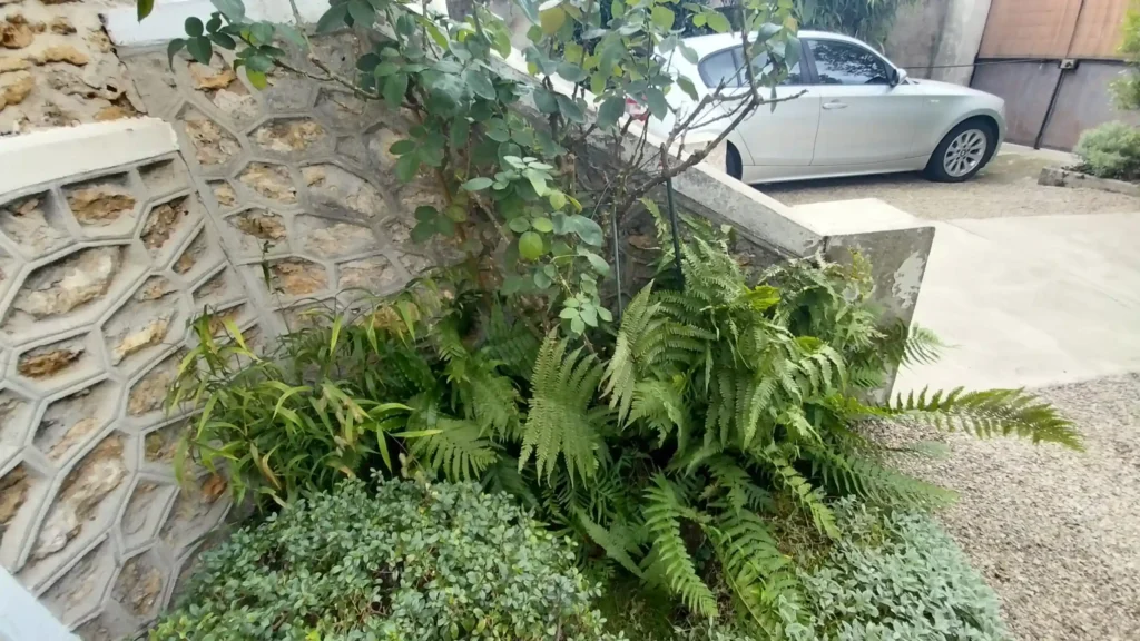 Facade renovee naturellement rosny