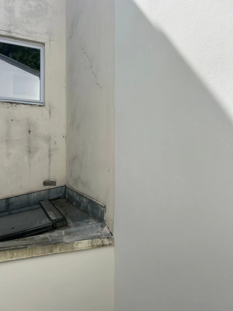 Platre ancien renove paris 20e