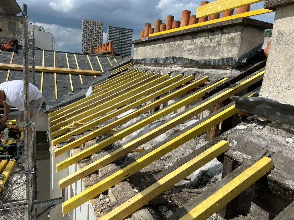 Remplacement tuiles paris 15e