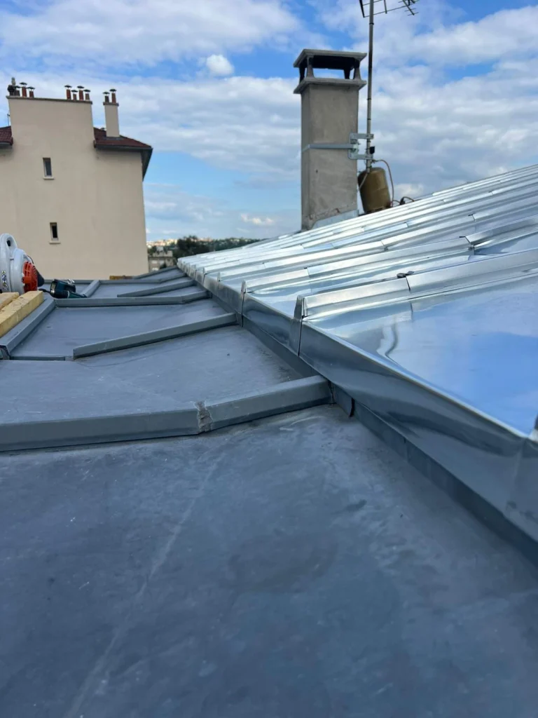 Toit zinc perreux sur marne