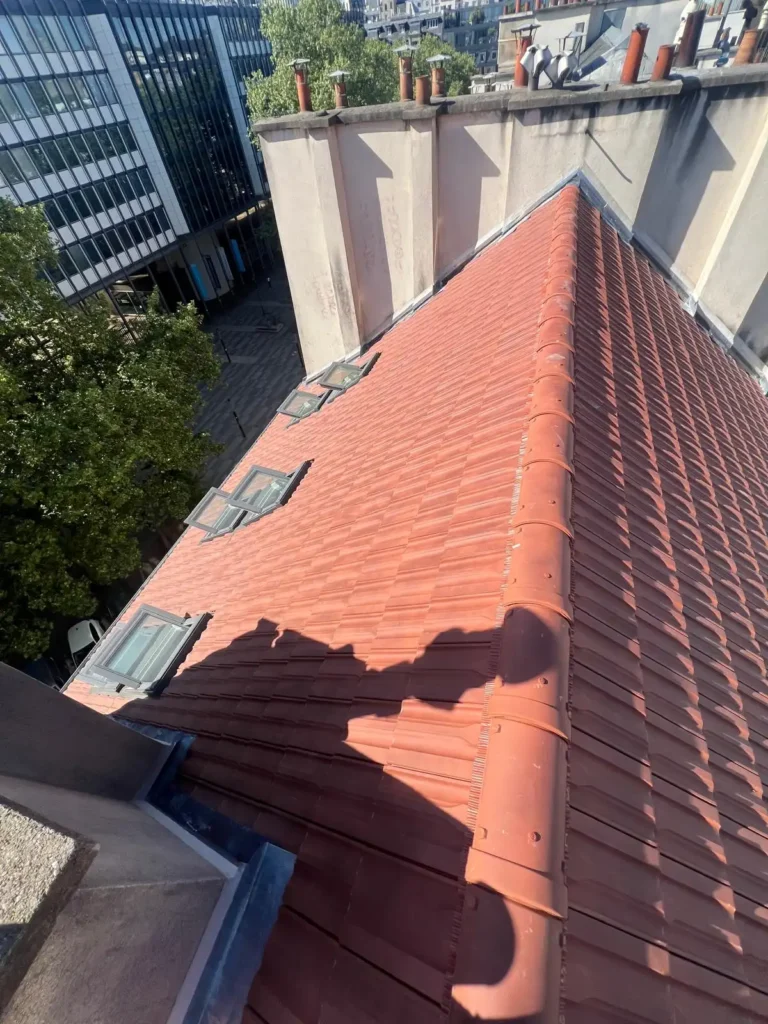 Renovation charpente paris 75005