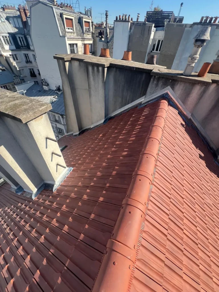 Renovation toit vue paris 75005