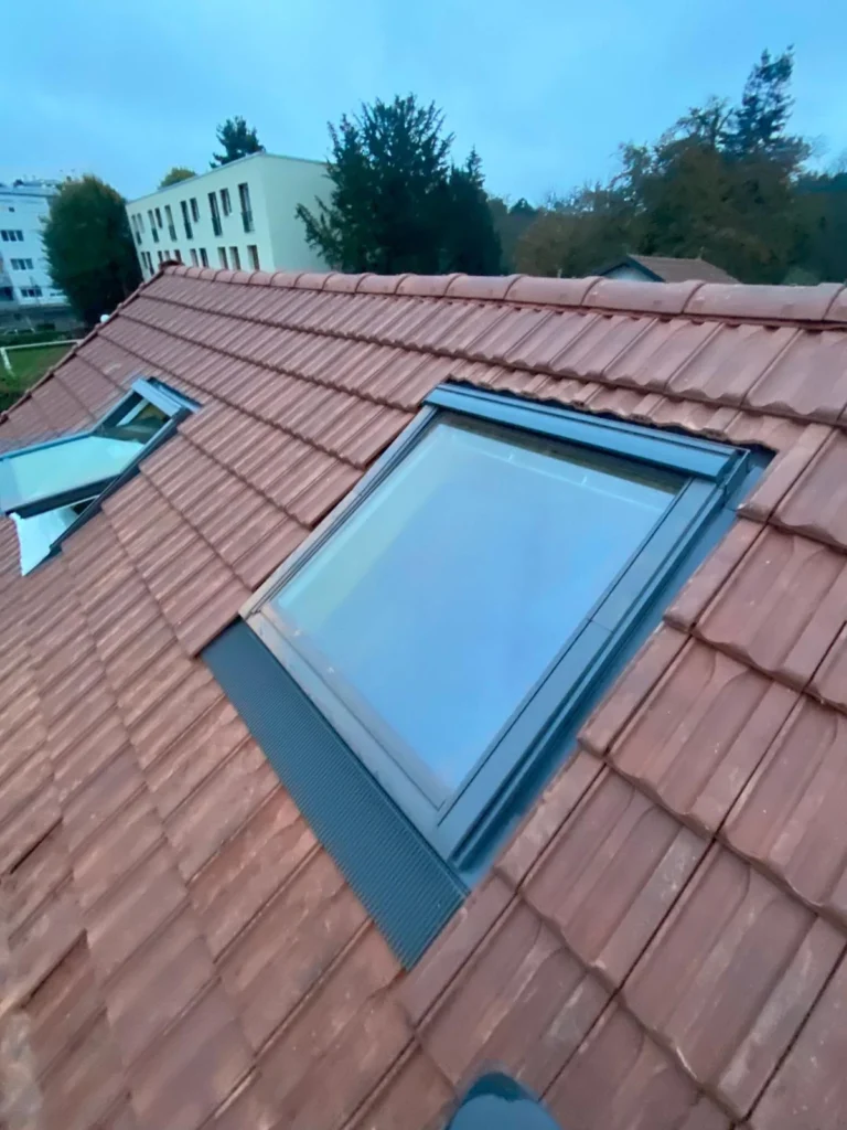 Renovation toiture ecologique velizy