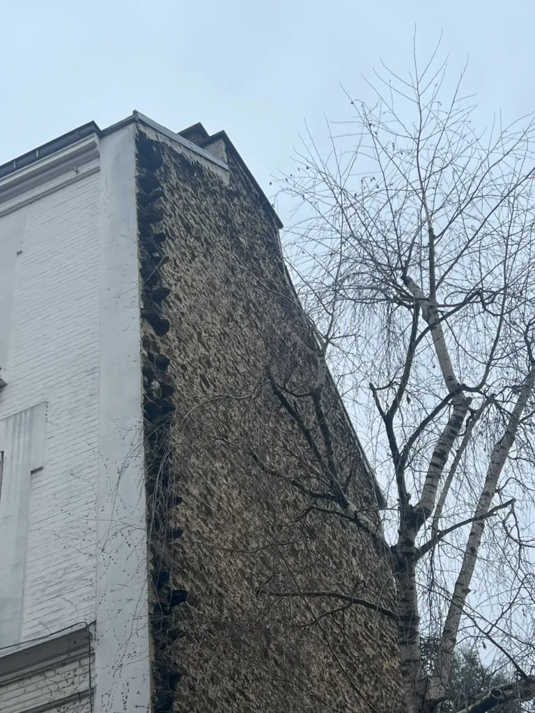 Enduit a la chaux paris 18e