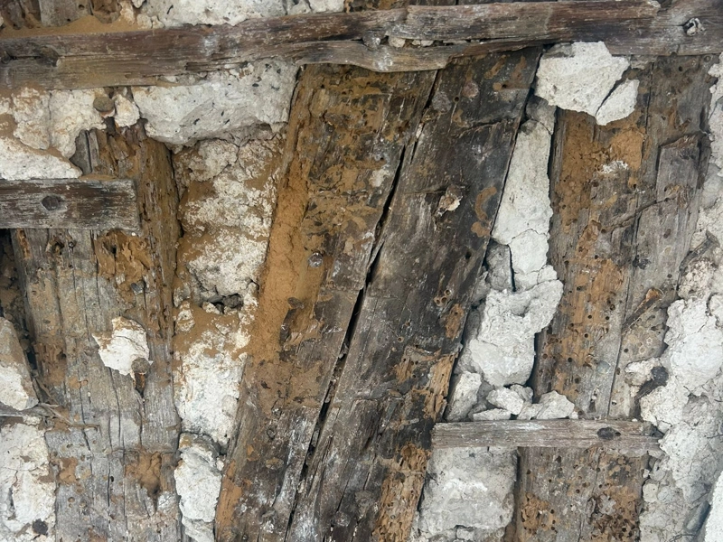 Résine époxy armée pans de bois