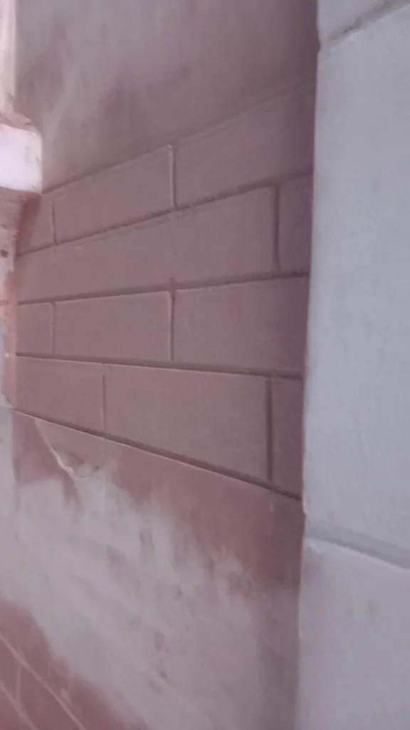 Renovation facade demeure verrieres le buisson
