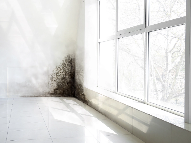 Cause d'humidité dans une maison