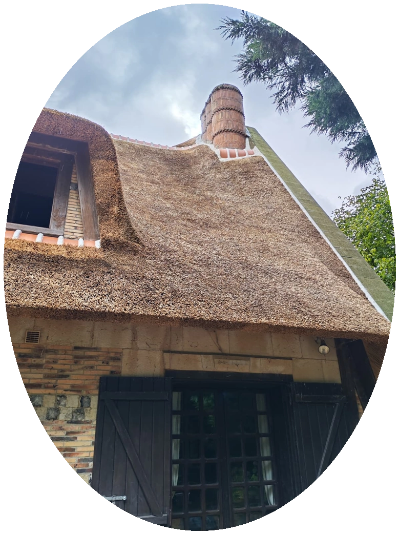 Pose toiture chaume