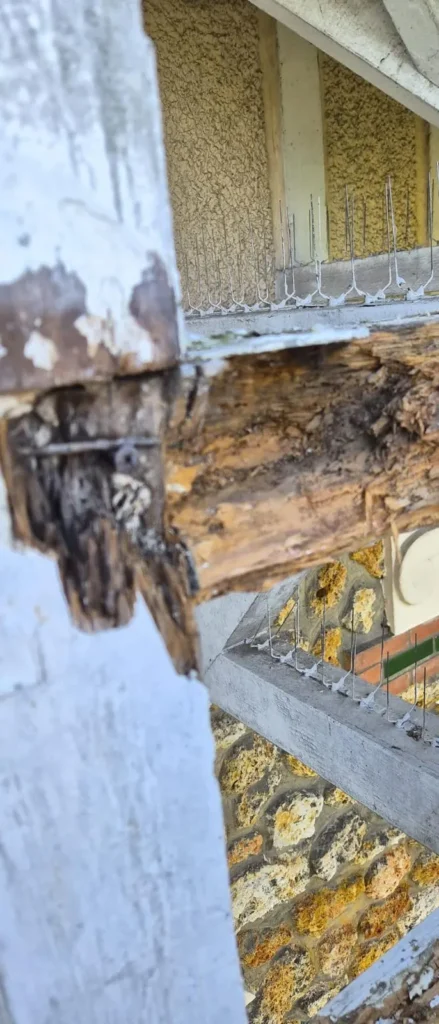 Couvreur ardoise traditionnelle sceaux