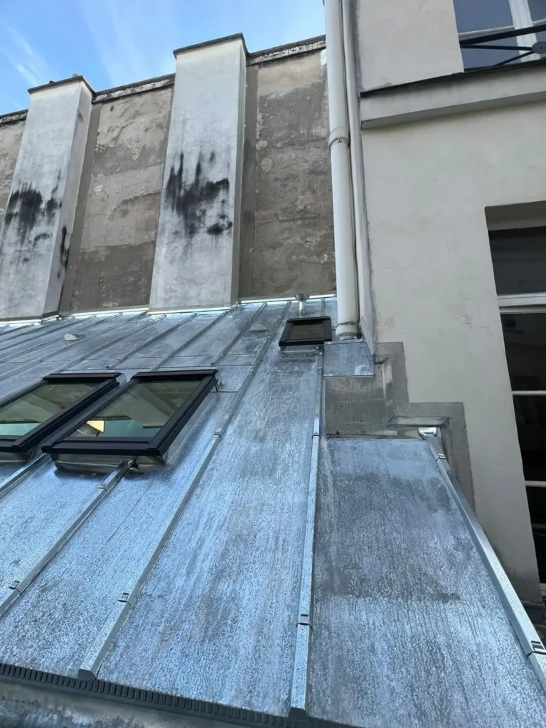 Renovation complete zinc paris 10e